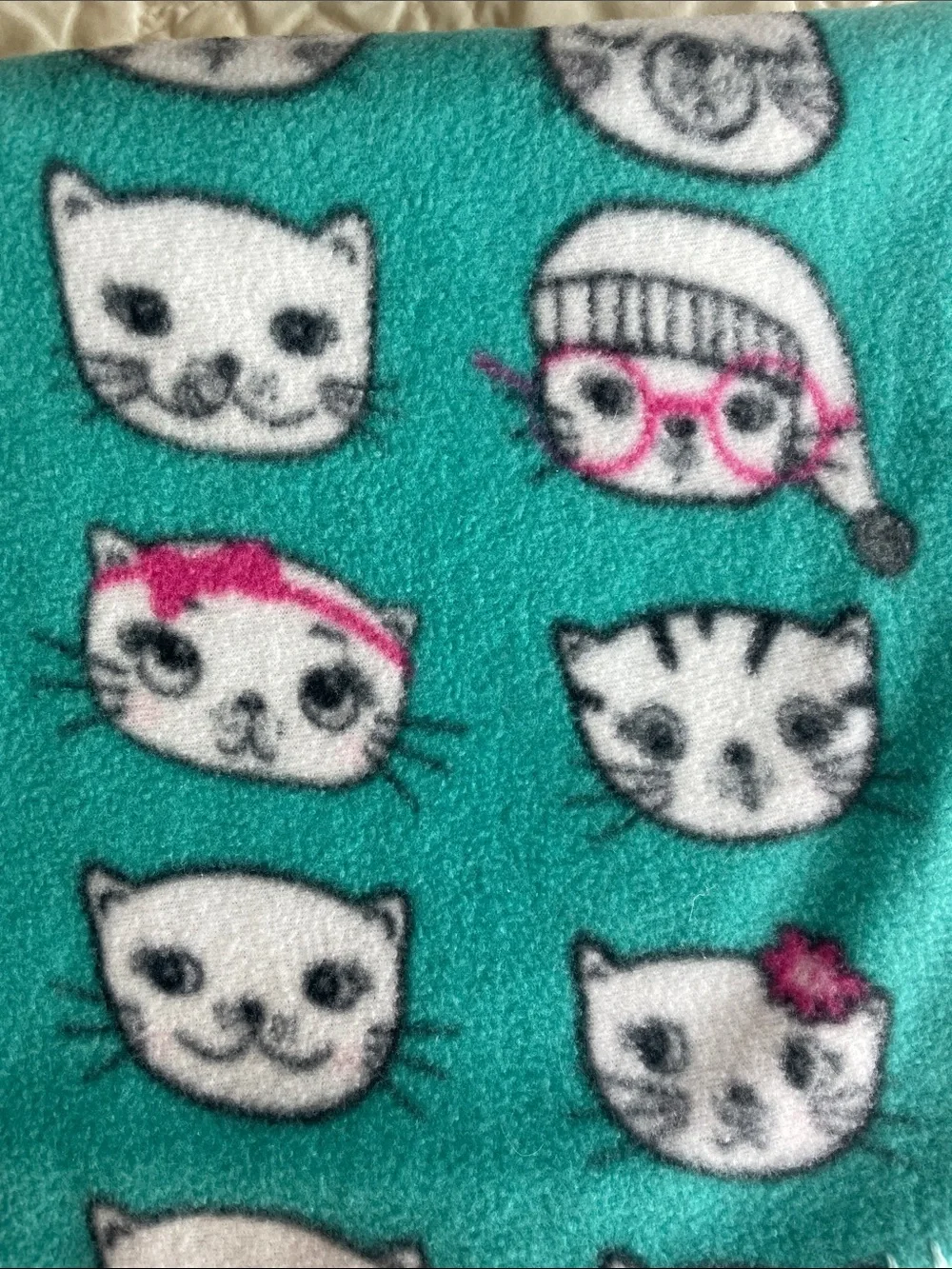 Soft Fleece Cat Blanket for Pets - Teal & Black/White Cat Prints